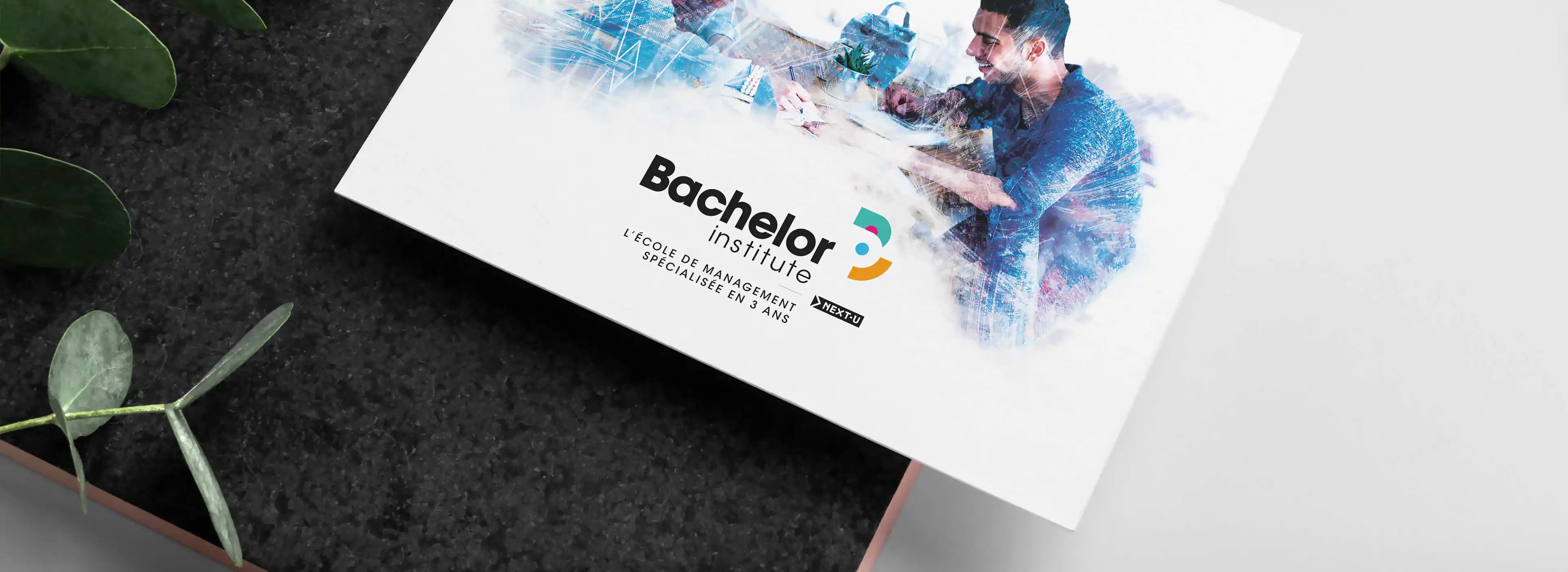 Bachelor Institute, création du logotype et des codes graphiques de l’école